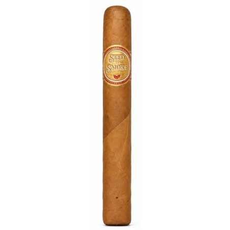 Cygaro ROCKY PATEL SEED TO SMOKE SHADE TORO (1)